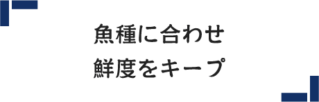 魚種に合わせ鮮度をキープ